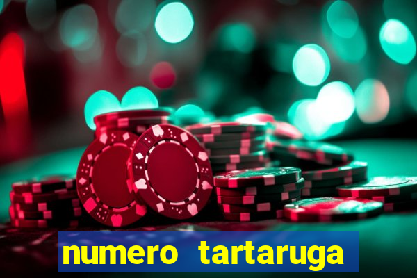 numero tartaruga jogo do bicho